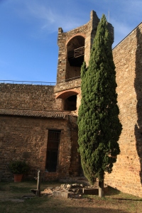 Cipreste ideal para abraçar em Montalcino